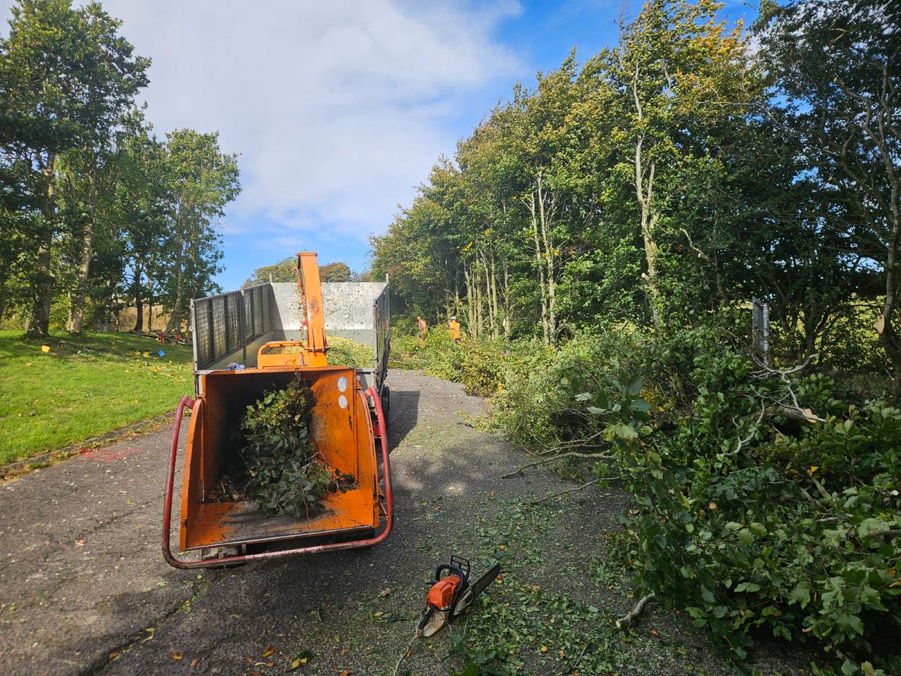 Clearing of trees by a driveway and chipping
