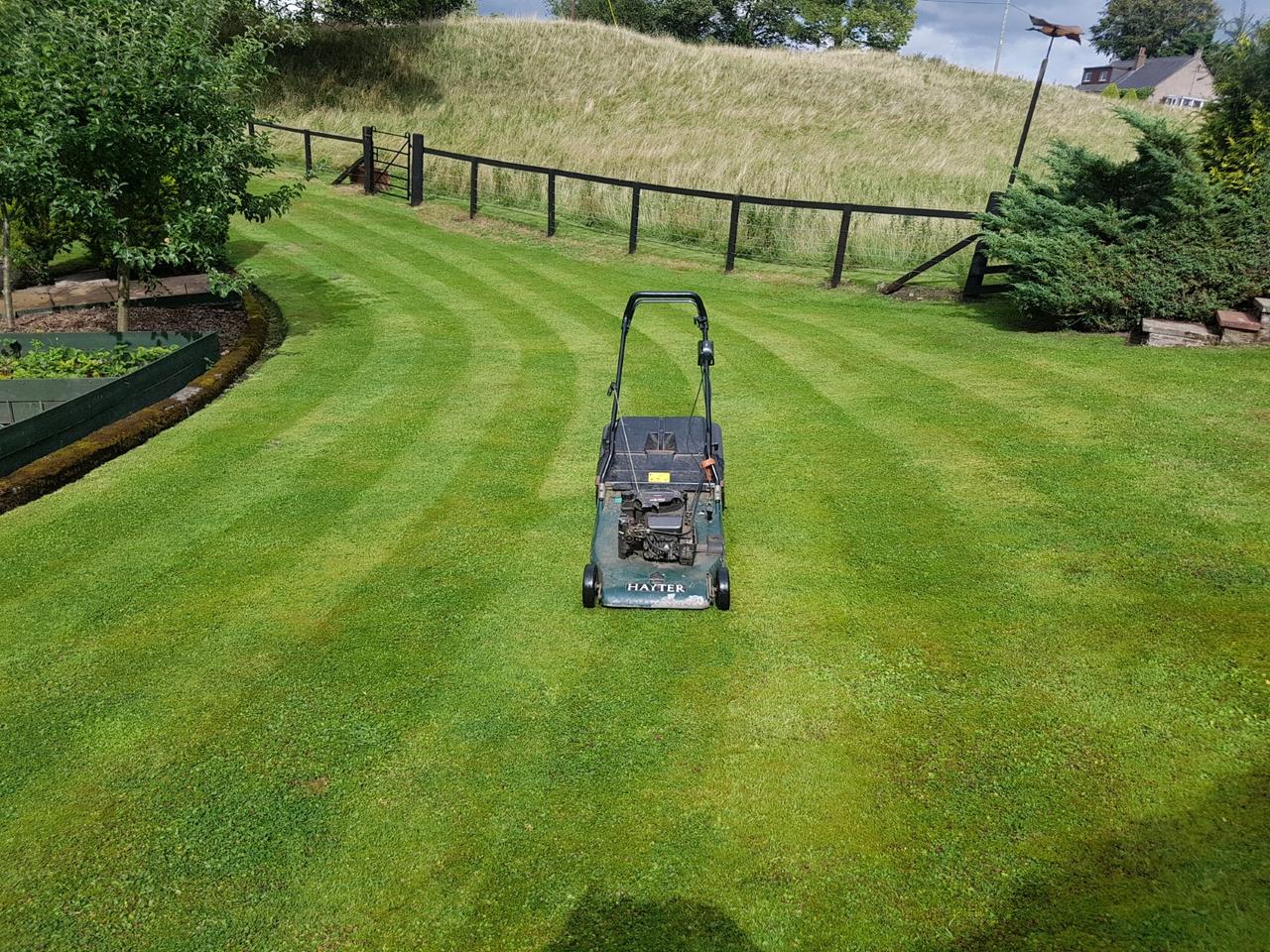 Freshly mown lawn with neat stripes