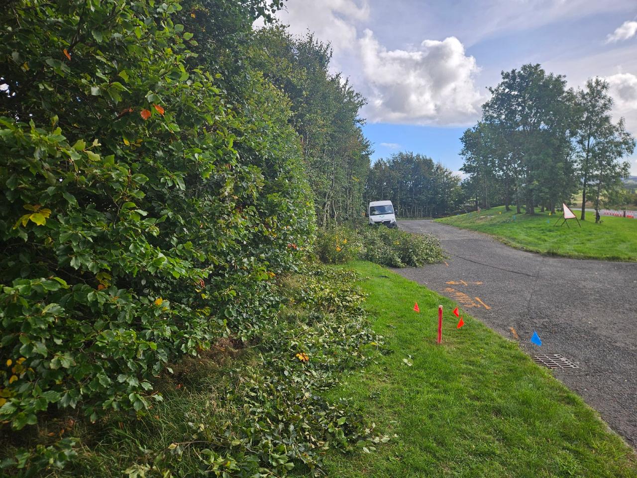 Maintained grounds around a layby