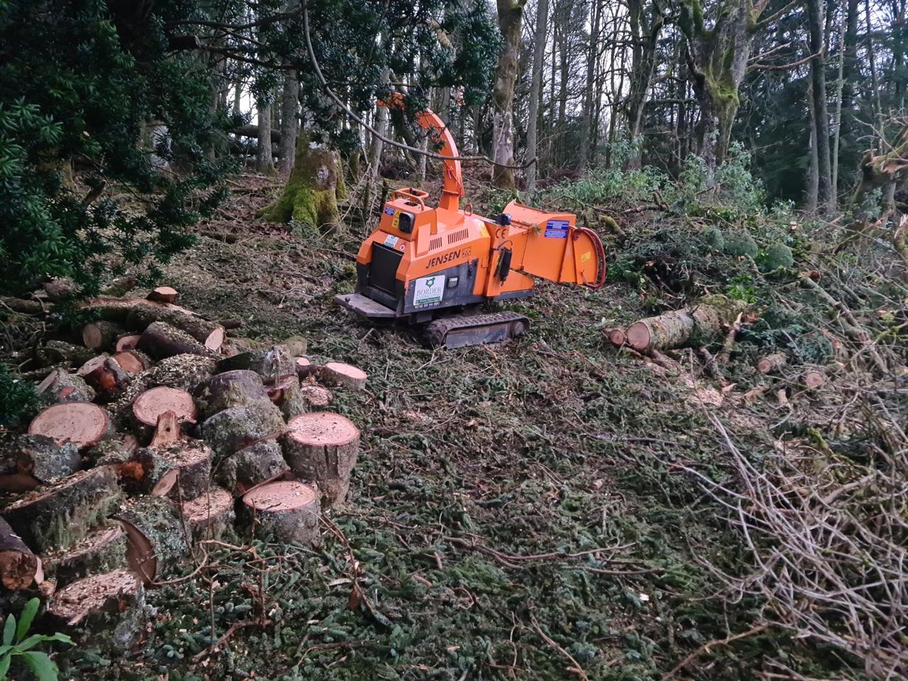 Trees chopped and chipped