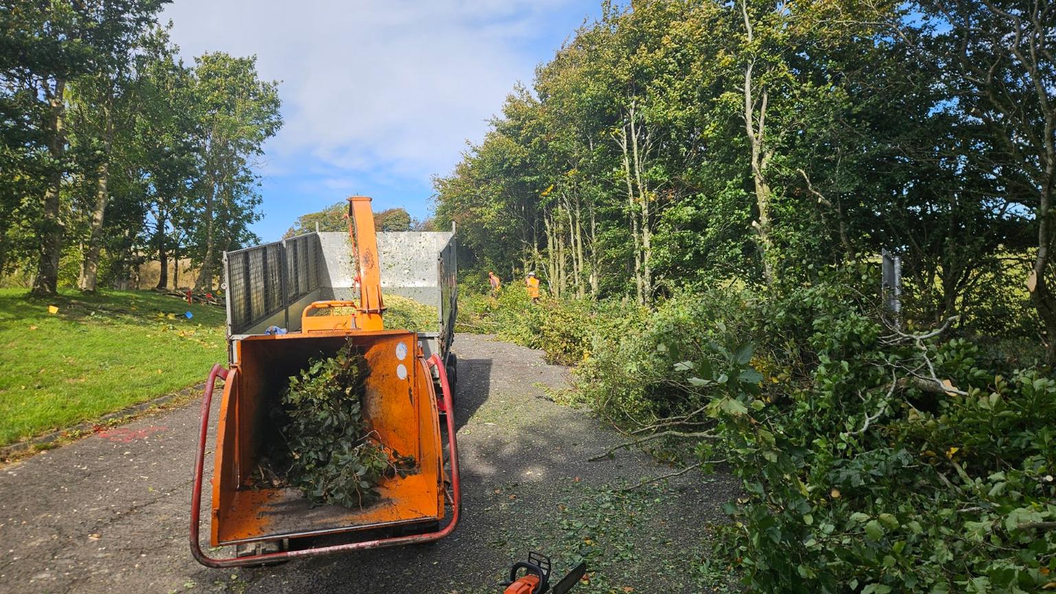 Clearing of trees by a driveway and chipping
